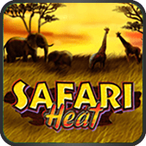 safari heat